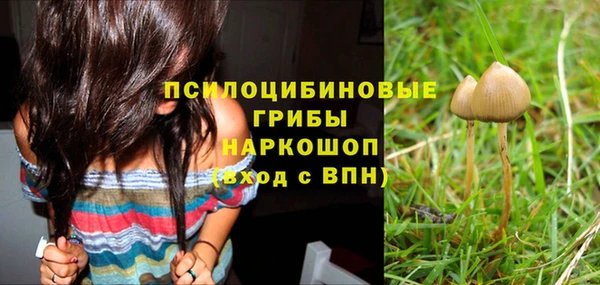 прущие крисы Пестово