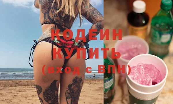 индика Переславль-Залесский