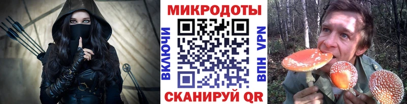 блэк спрут онион  Белоозёрский  Псилоцибиновые грибы Psilocybe 